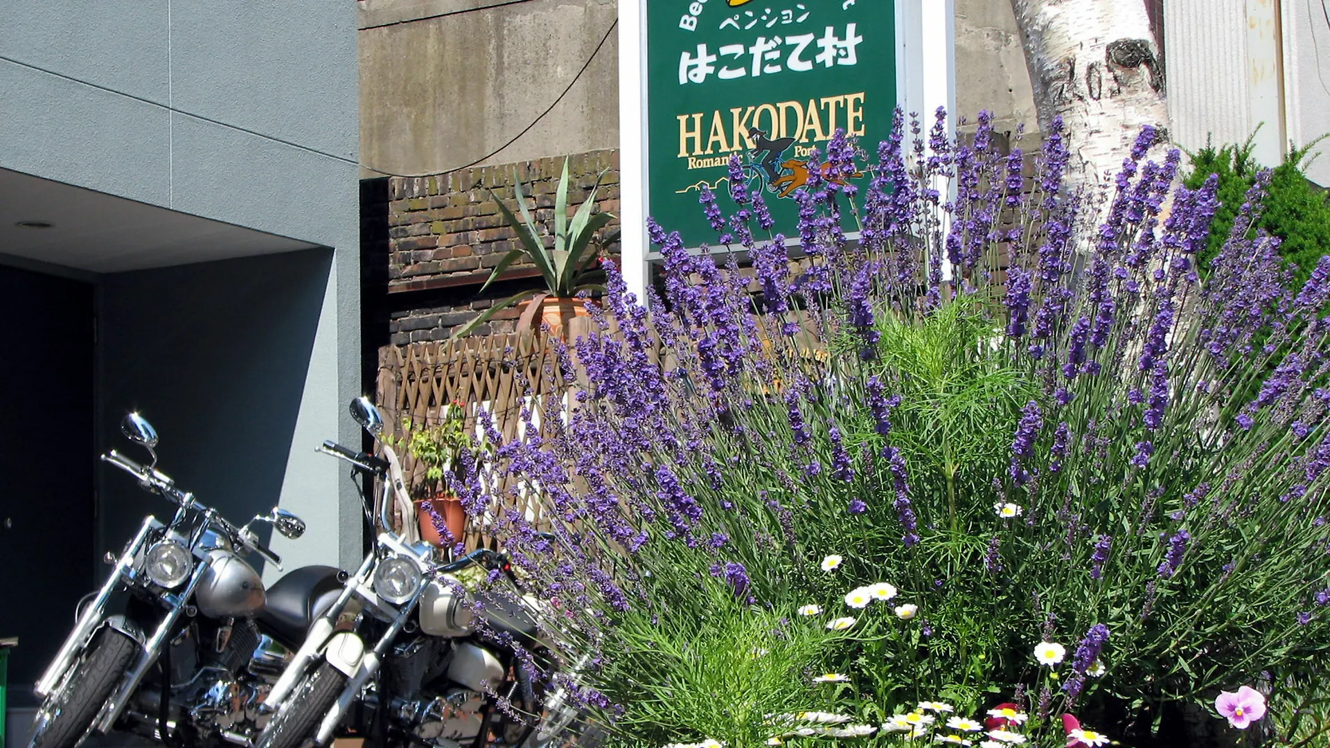 B&B Pension Hakodate-Mura 2*, Hakodate Japan