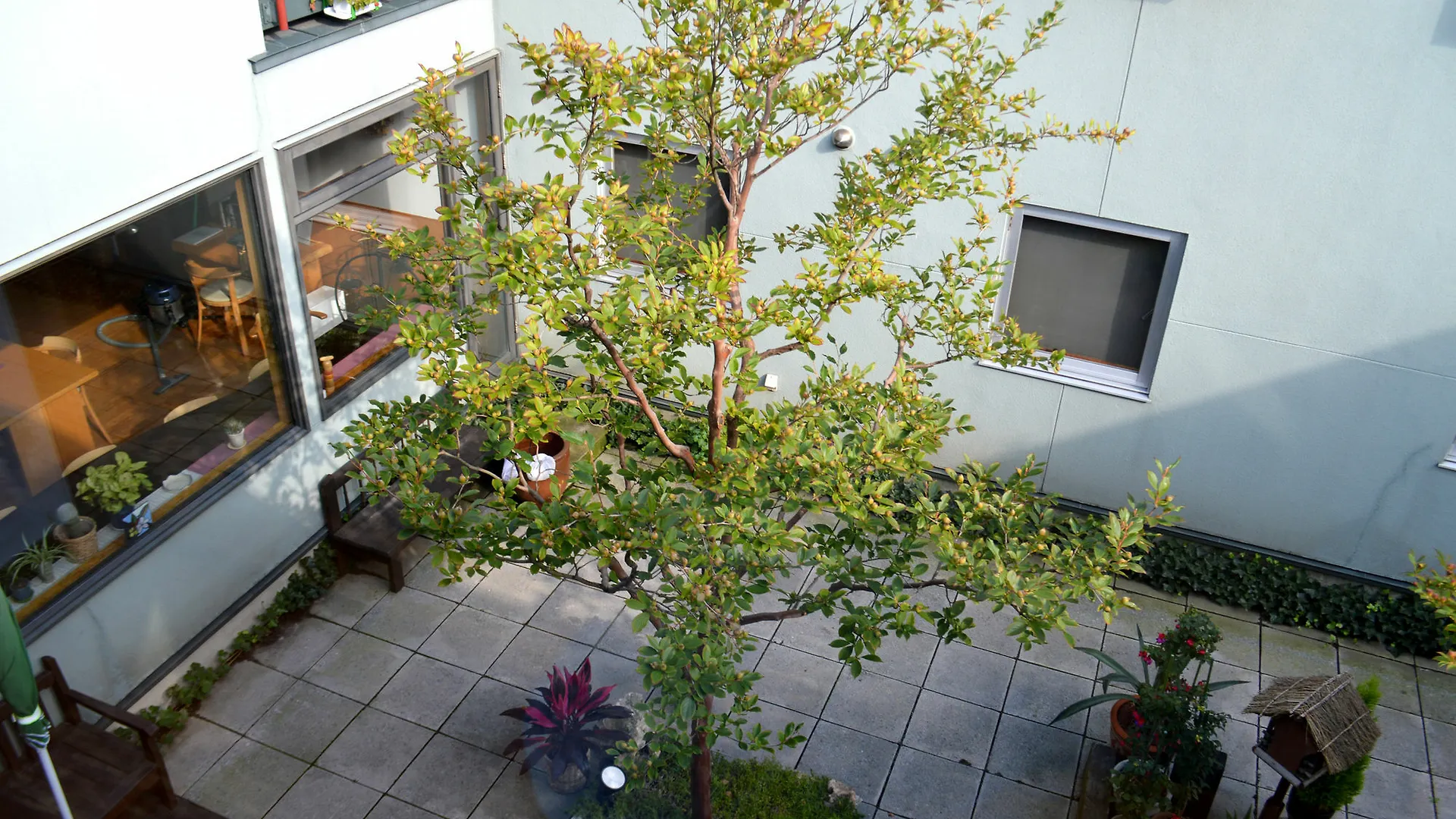 Bed & Breakfast B&B Pension Hakodate-Mura